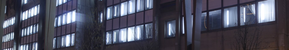 Guillaume Stagnaro Fluorescent Umwelt_foto©Matjaz Wenzel_2014_03.jpg